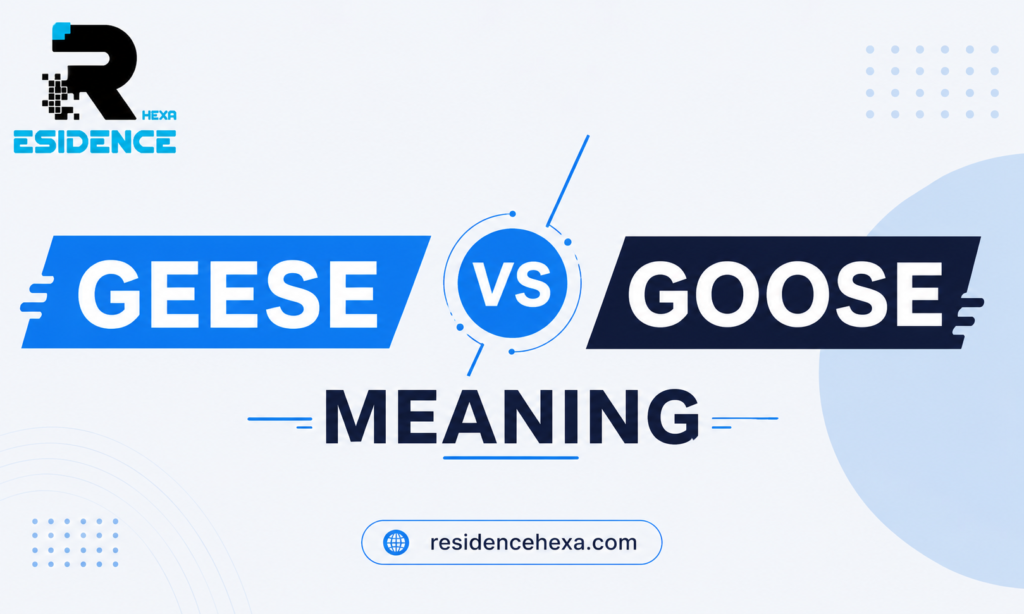 Geese vs Goose Meaning