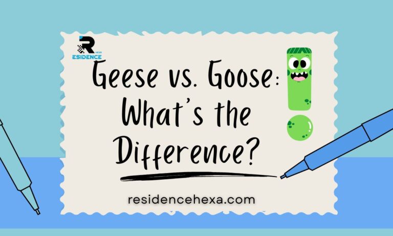 Geese vs Goose What's the Difference